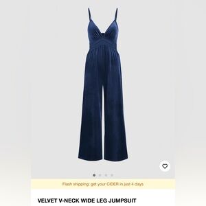 Nwt sz L blue velvet jumpsuit by cider